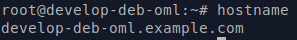 _images/install_hostname_command.png